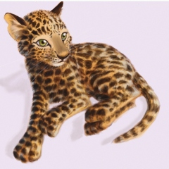 Leopard-Cartier-03