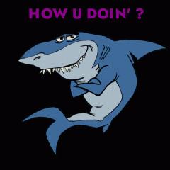 shark-how-u-doin-text
